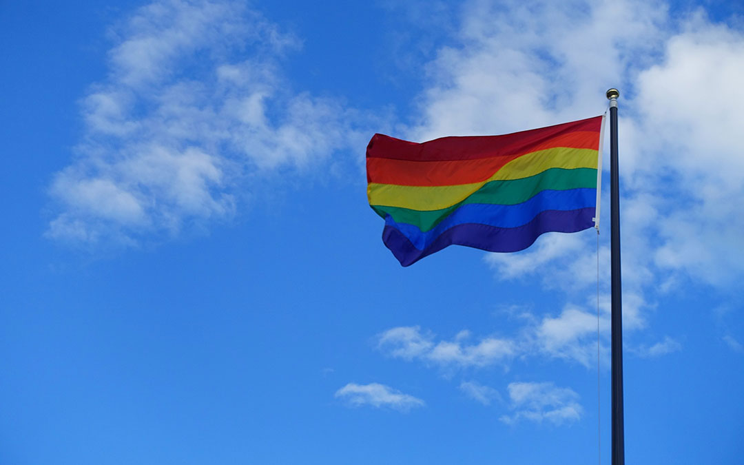Clarity and Charity: The Catholic Response to Challenge of Homosexuality